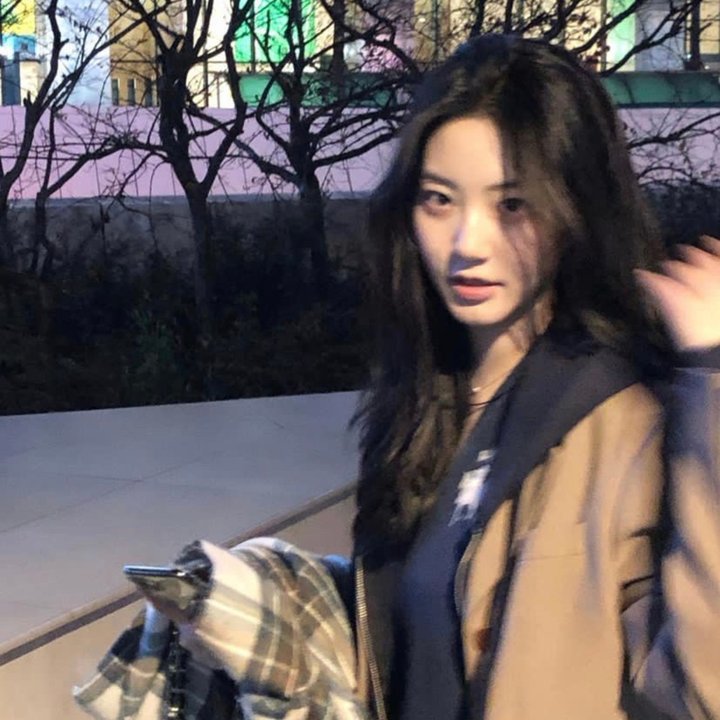 爱尔兰的弗兰克